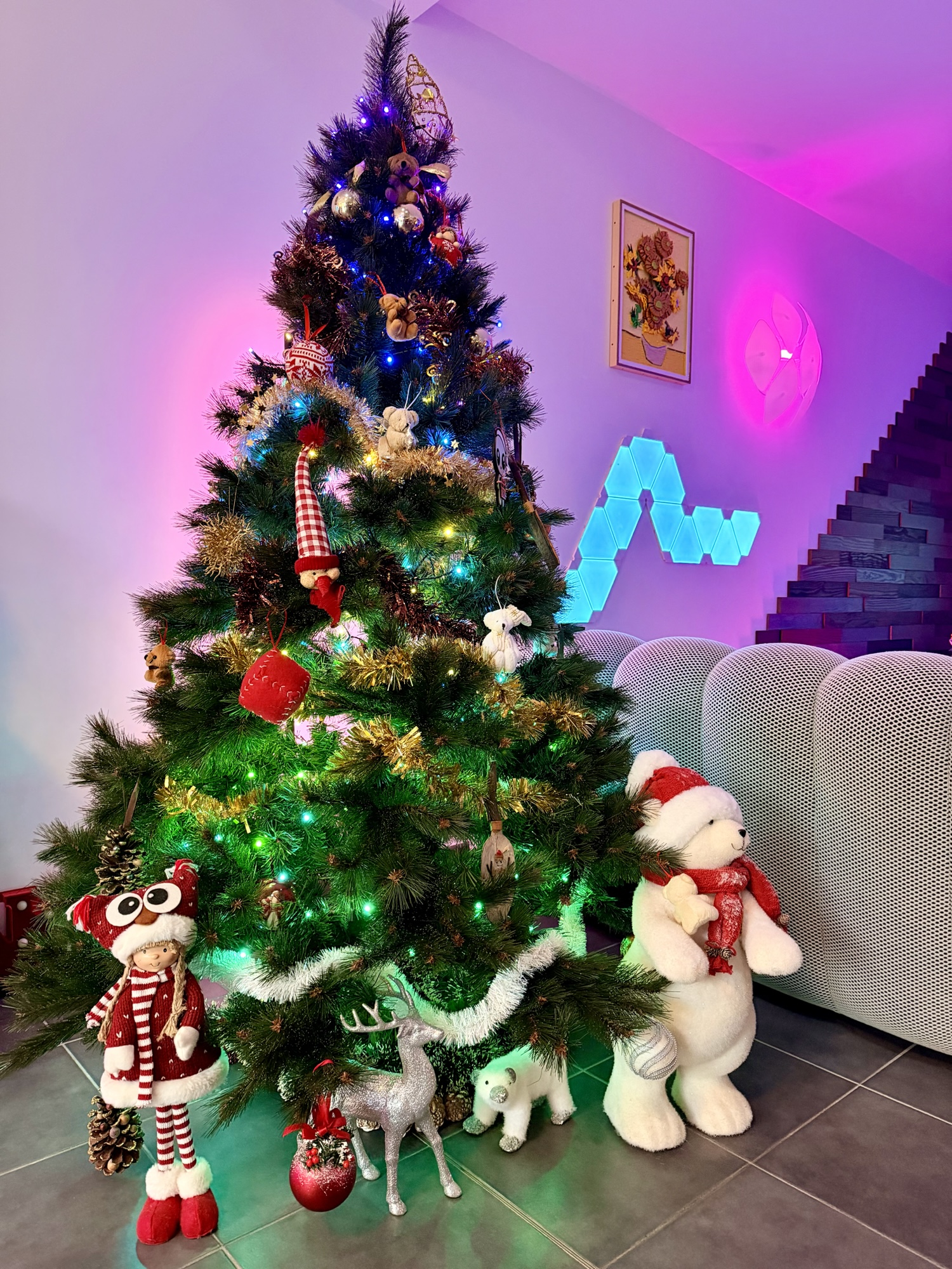 Le sapin est dressé à la Maison Chocolat… et Noël approche