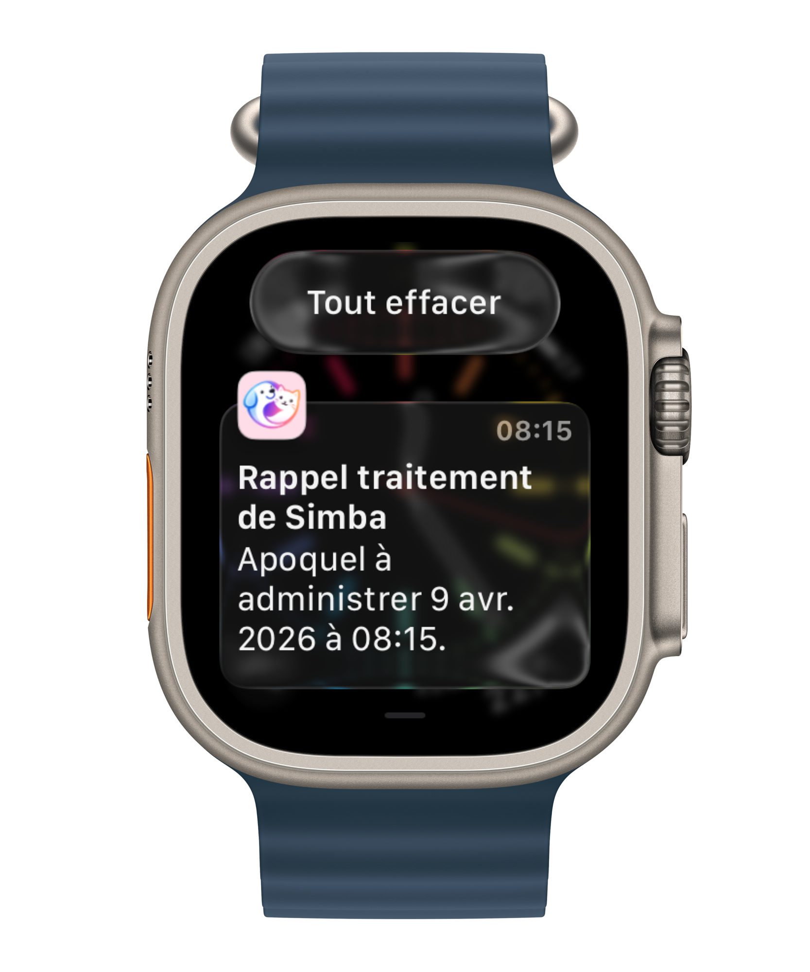 PetLife, le rappel qui veille sur leur santé
